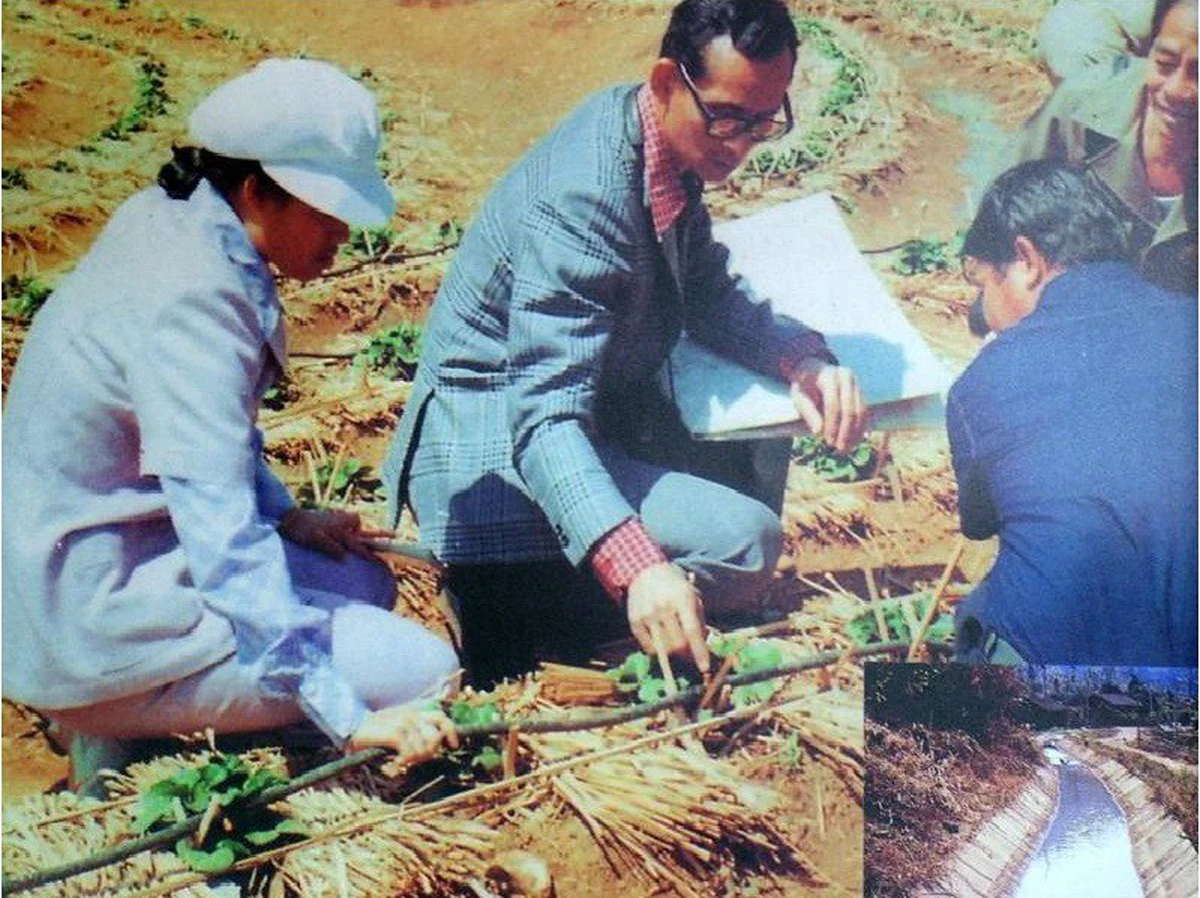 Quốc vương Bhumibol Adulyadej hướng dẫn nông dân Thái canh tác và làm thủy lợi - Ảnh tư liệu