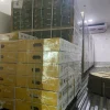 chanh5