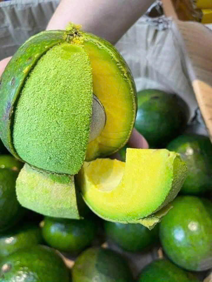 Bảo quản bơ