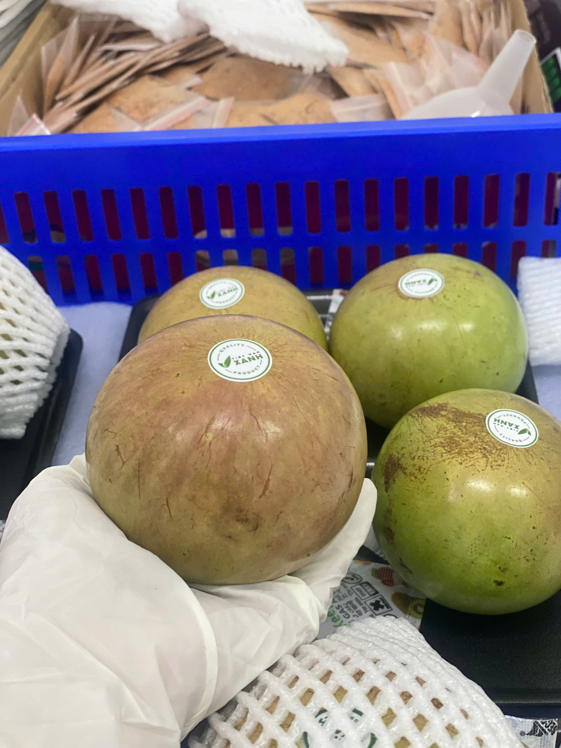 VÚ SỮA - Ảnh 2