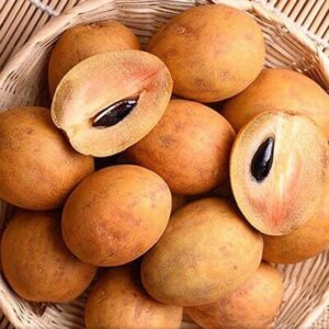 Hồng Xiêm hay còn gọi là Sa-bô-chê