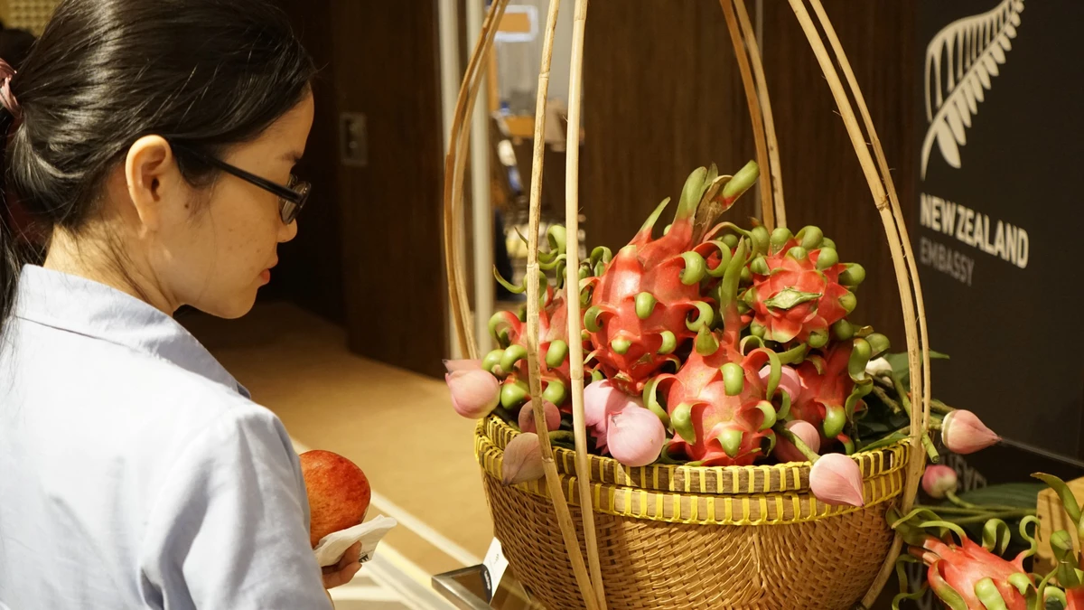 thanh long 1 La Nouvelle-Zélande est prête à soutenir le Vietnam dans le développement complet de la chaîne de valeur du fruit du dragon – Photo : Linh Tô